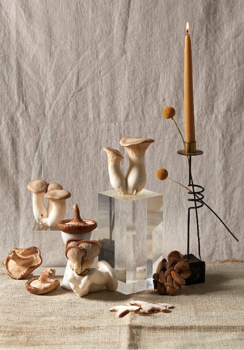 Still life of mushrooms and candle on linen and canvas, by Atlanta food photographer Bailey Garrot.