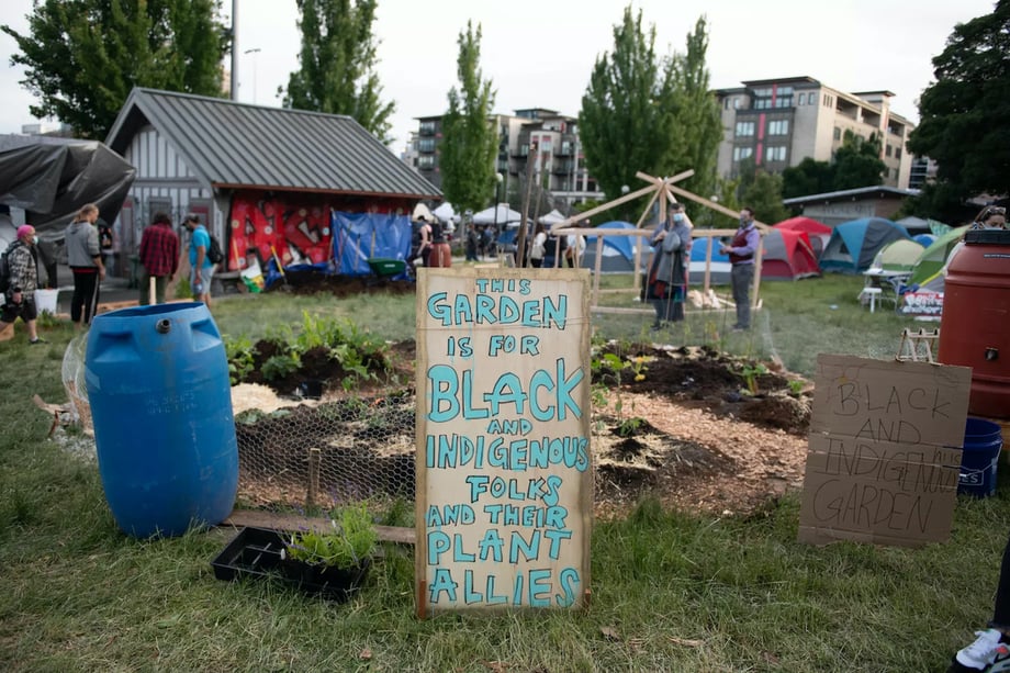 Food garden in the capital hill autonomous zone.