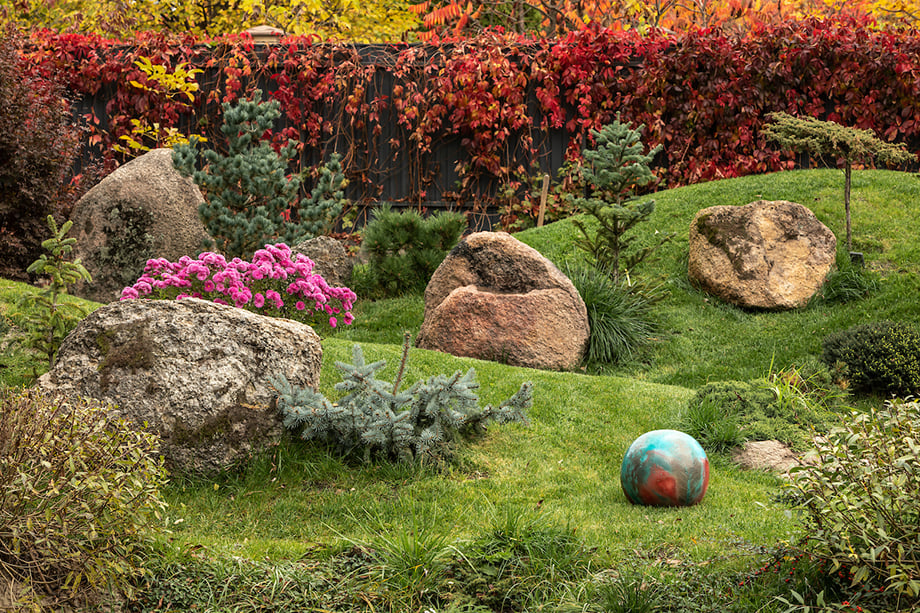 A sunny exterior shot of Sergey Makhno's colorful garden