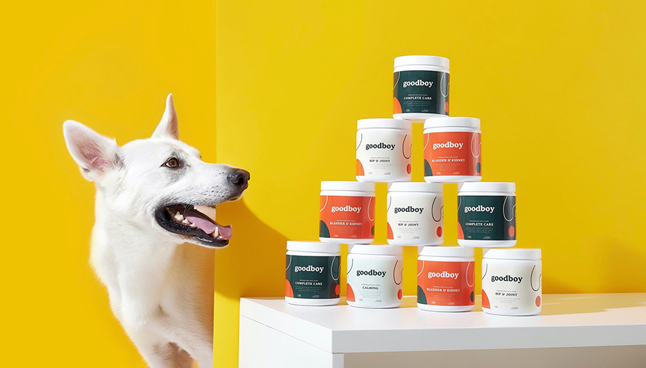 Commercial photography of a dog staring at Goodboy supplements shot by Lauren Pusateri