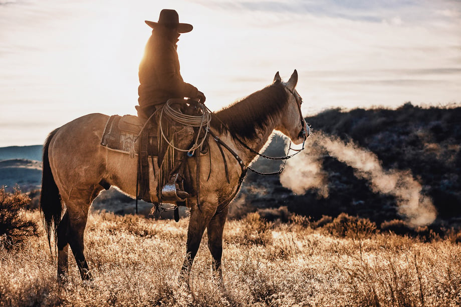 Photo of a cowboy on horseback against the sun taken by Idaho-based lifestyle photographer Hillary Maybery. 