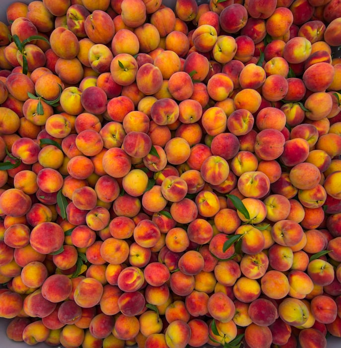 Color photo of peaches by agriculture photographer Jamey Guy, shot in South Georgia.