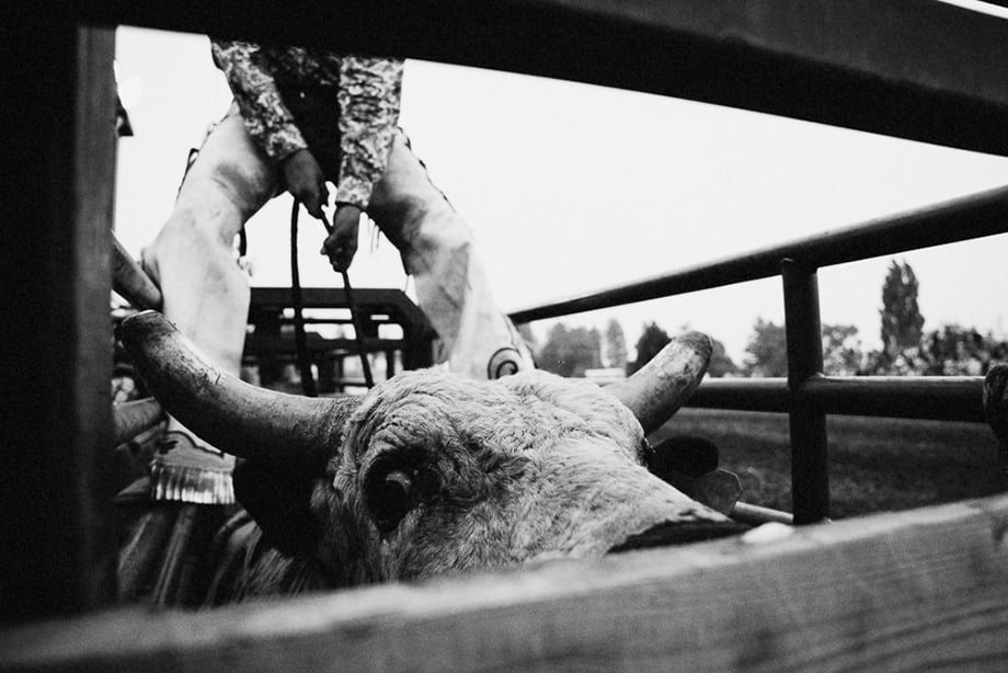Cowboy riding bull at Brash Rodeo shot by Kyle Stansbury