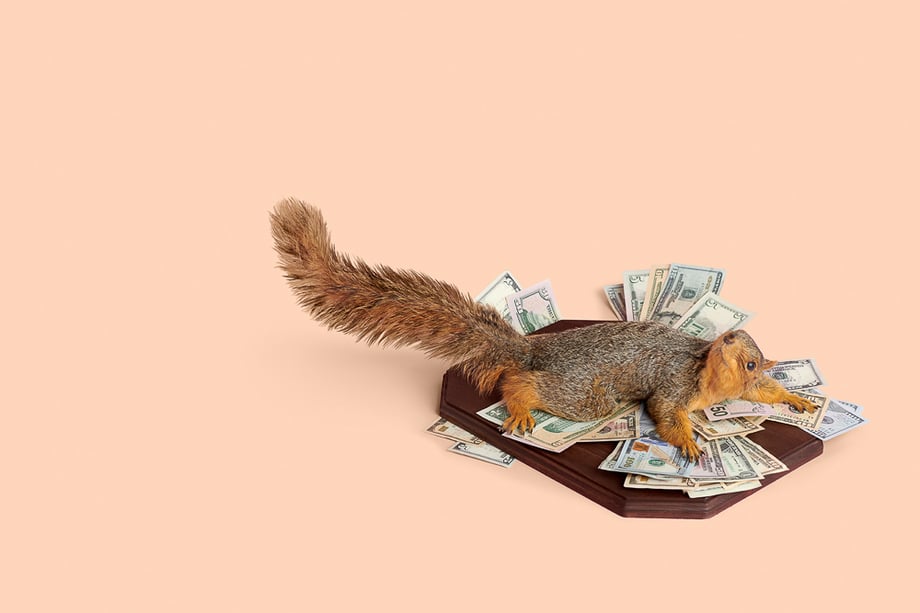 Photo of a taxidermy squirrel holding on to money taken by Lauren Pusateri. 