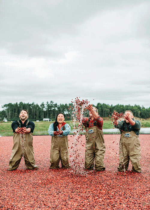 GIF of Ocean Spray employees tossing berries into the sky taken by Boston-based food photographer Michael Piazza. 