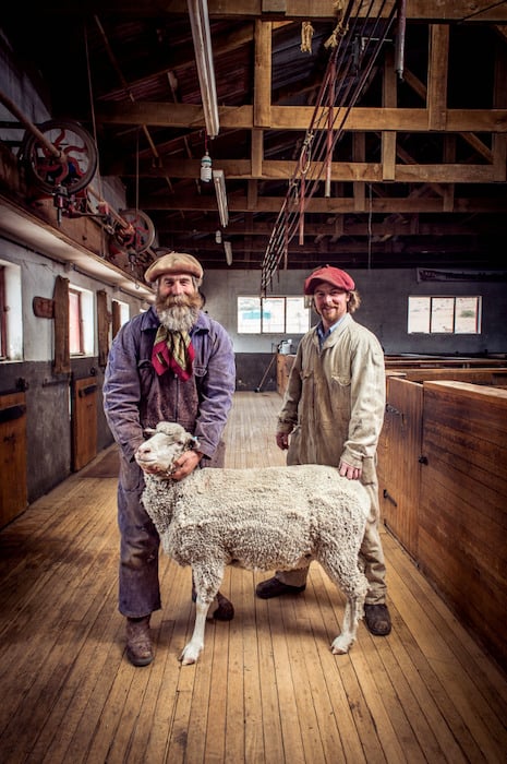 nick hall, seattle photographer, patagonia, the nature conservancy, Argentine Merino sheep, wool
