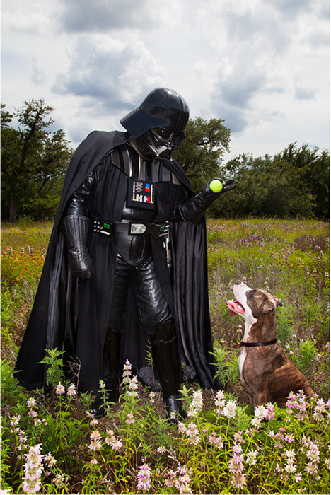 Darth Vader playing ball with dog