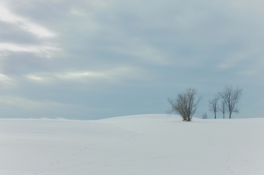 Ramon Palacios-Pelletier, french photographers, american landscape, moving to america, snowscape, snow, winter