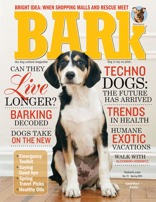Cover photo for Bark Magazine of a dog taken by New York-based animals photographer Winnie Au.