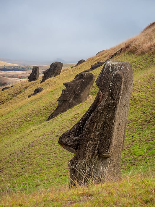 Moai statues perched on a hill taken by Susan Seubert. 