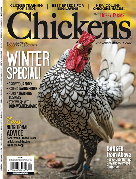 Portrait of a chicken on the cover of Hobby Farms' Chickens Magazine, January/February 2020 edition provided by group editor of EG Media Magazines, Roger Sipes
