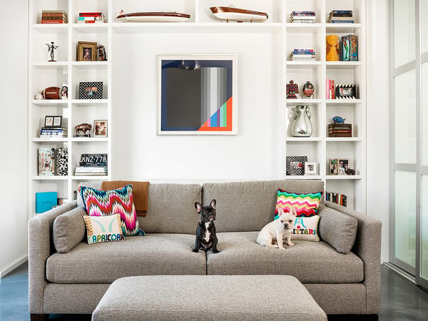 Photo of a living room featuring two dogs on a sofa by Cynthia Lynn.