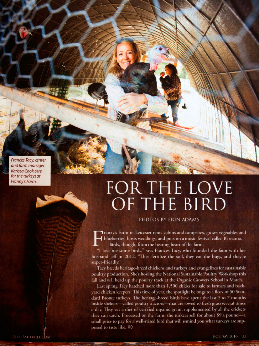 Tearsheet including images of Turkeys at Franny's Farm in Leicester, shot by Asheville, N.C.-based agriculture photographer Erin Adams for Edible Asheville 