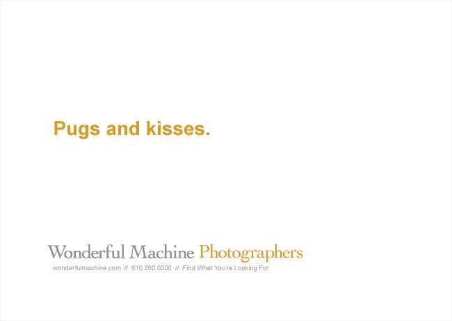 Wonderful Machine promo with tagline 'pugs and kisses'