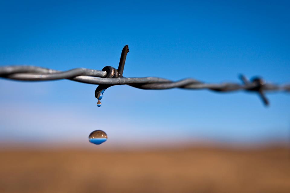Droplet falling off barbed wire shot by Charleston, S.C.-based automotive photographer Richard Steinberger 