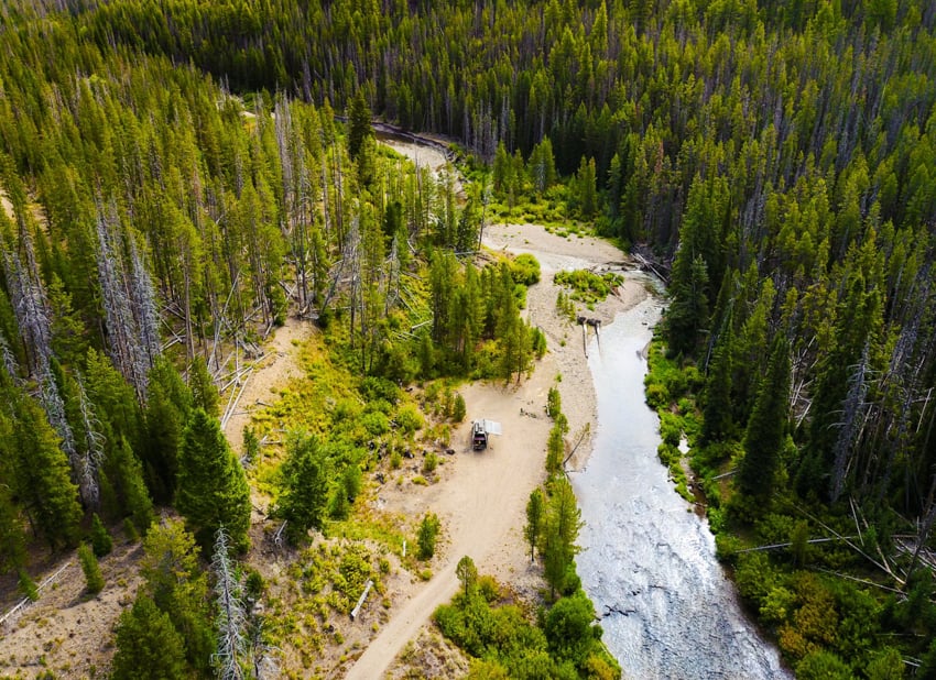 Scott Gable's aerial shot of pine forest with river running through it on trip The Big Scout