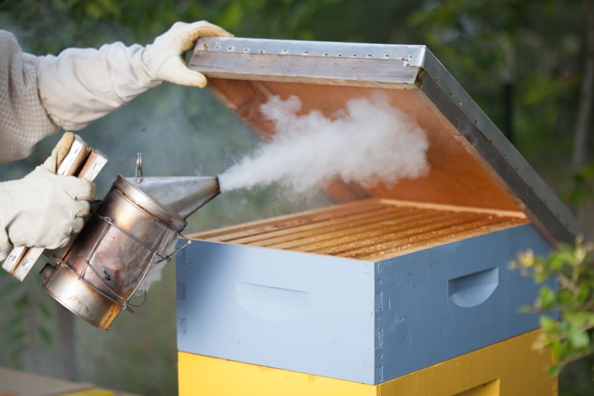 Kimberly Davis' photo for Tanya Phillips' instructional book on beekeeping featuring a person wearing protective gloves using a smoker on a beehive. The person is out of frame except for their hands and arms.