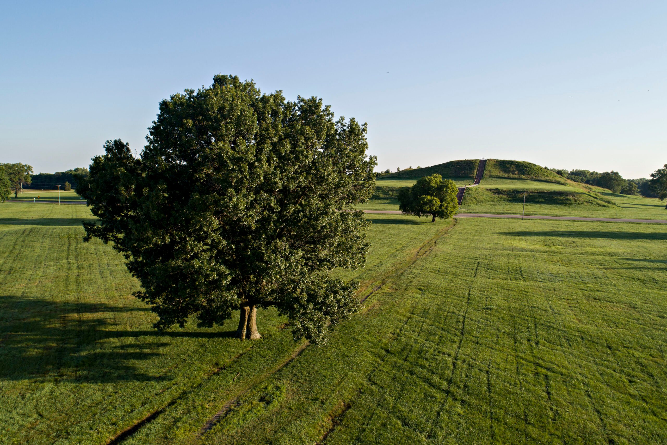 Daniel Acker captures acres of green ground and the footpath leading to the Cahokia mounds