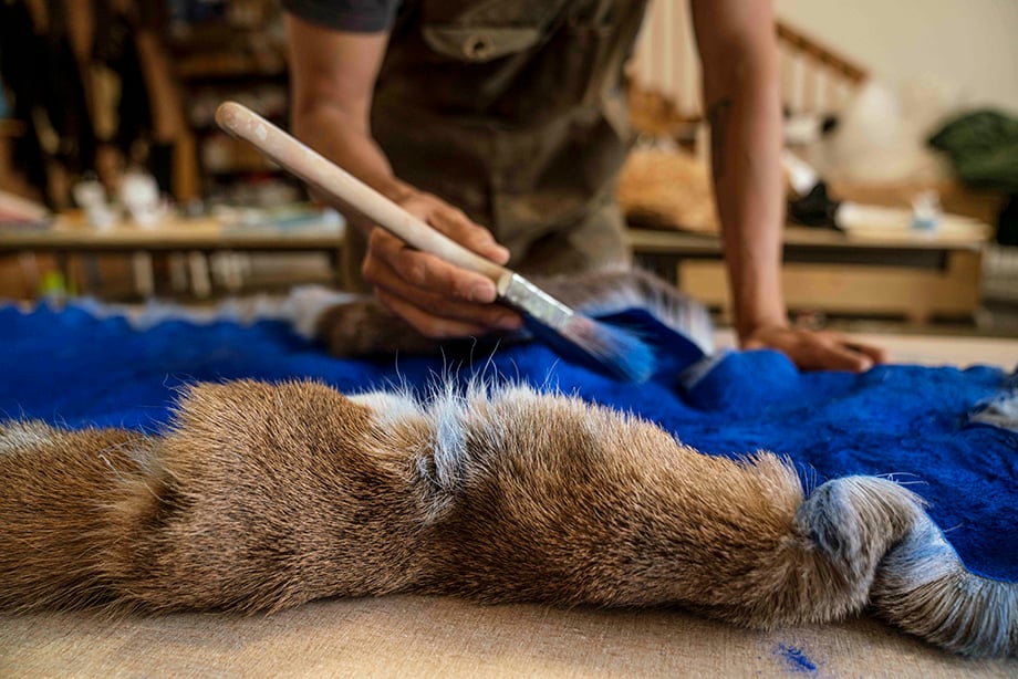 Indigenous artist paints over fur. Photography by Fernando Decillis for Smithsonian Magazine.