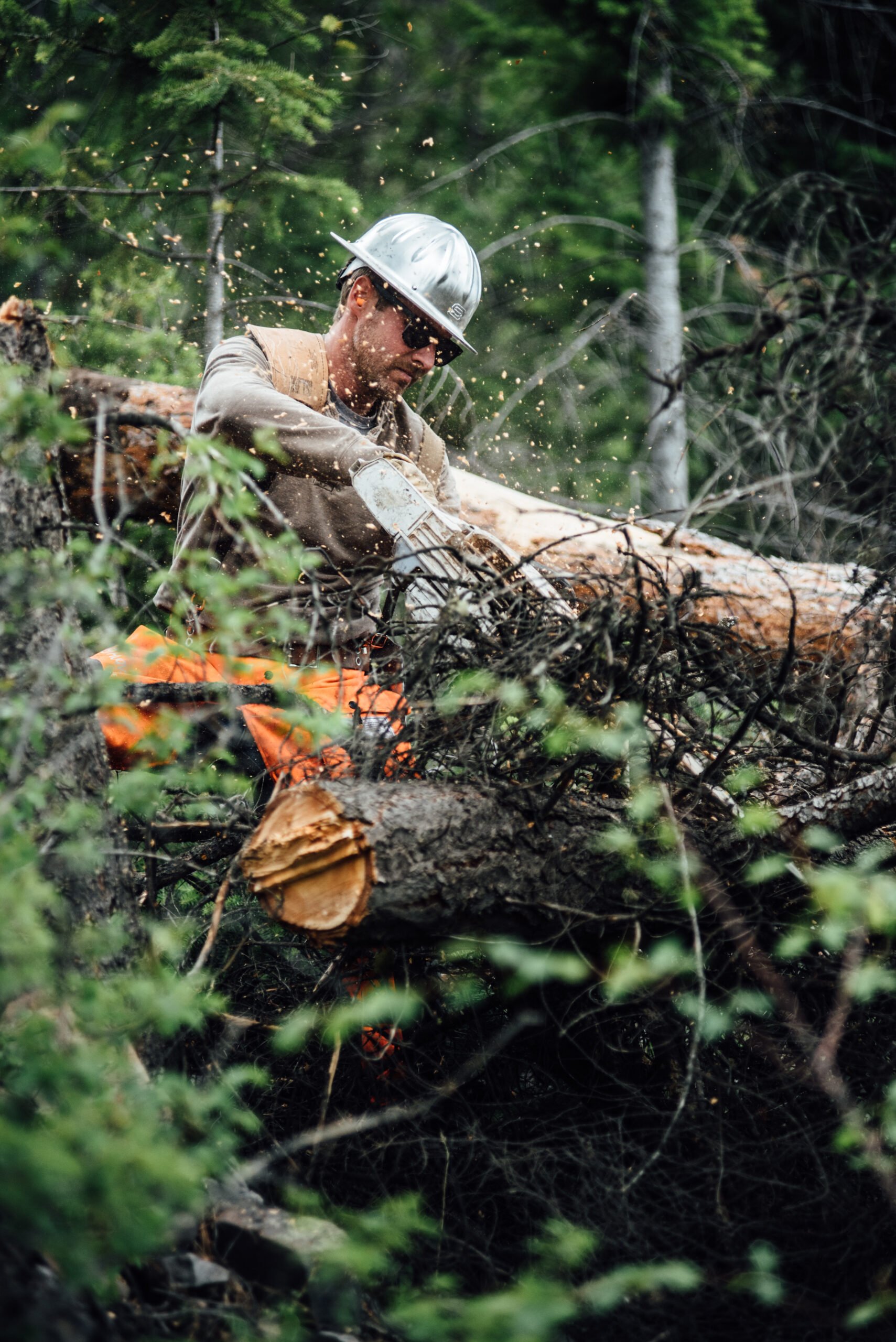 Isaac Miller photographs a logging operation at a bison ranch in Montana.
