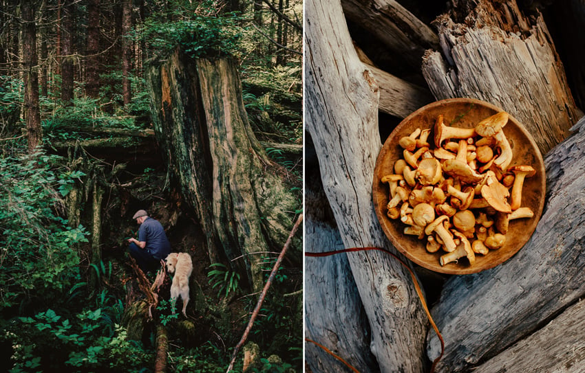 A man, accompanied by his faithful canine companion, engages in the timeless pursuit of mushroom picking. Photo by Kamil Bialous.