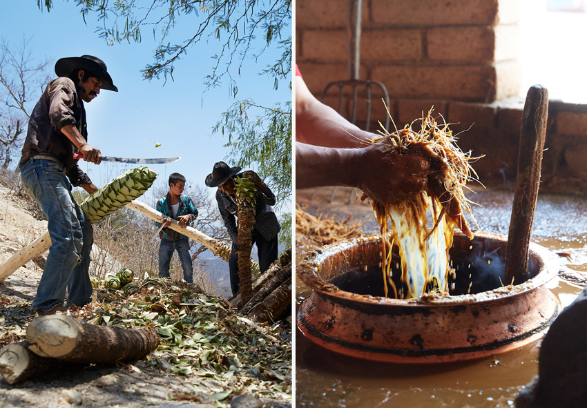 Photos showing the process behind the creation of mezcal, a traditional beverage deeply rooted in Mexican culture. Photo by Max Kelly.