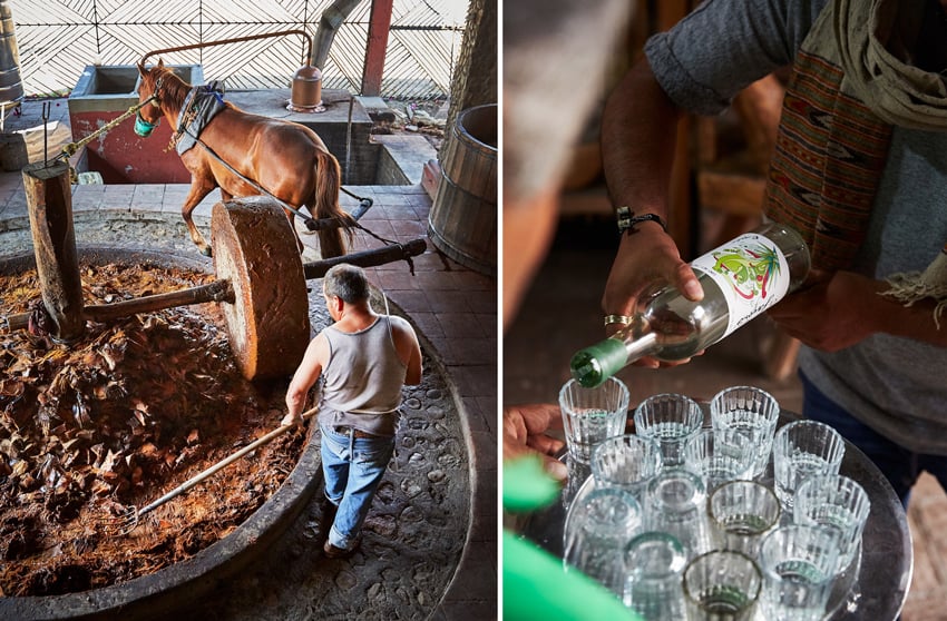 Photos showing the process behind the creation of mezcal, a traditional beverage deeply rooted in Mexican culture. Photo by Max Kelly.