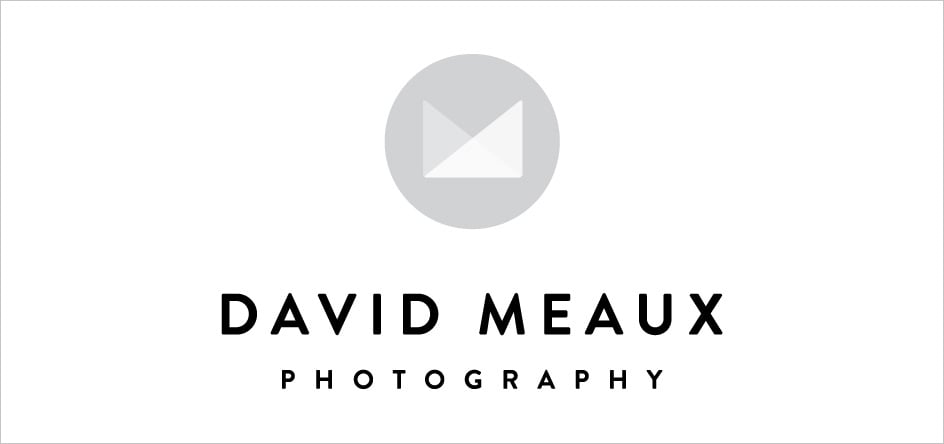 Sample from the first round of updated logo designs for David Meaux Photography