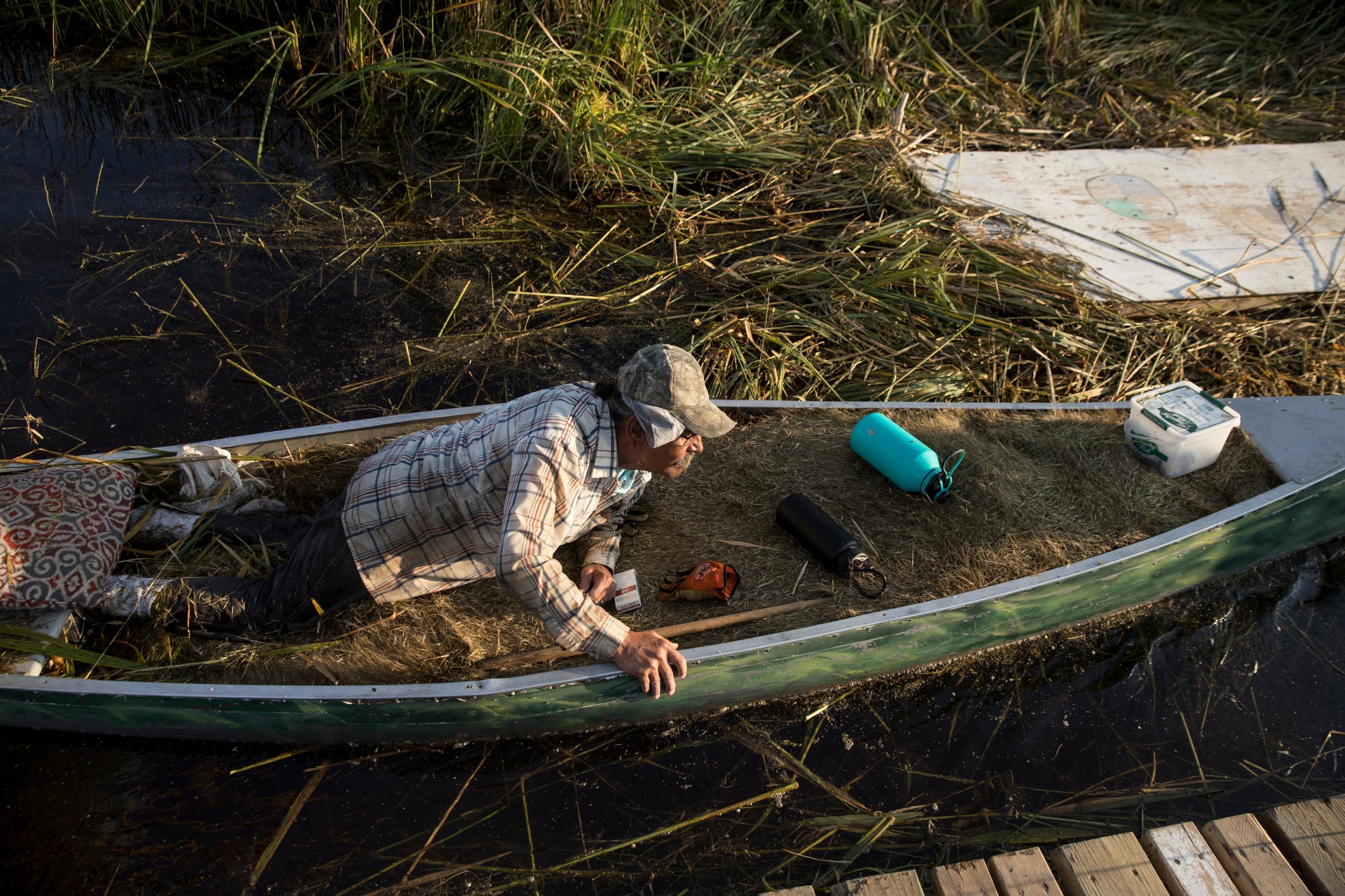 A man harvesting rice while laying down in a canoe