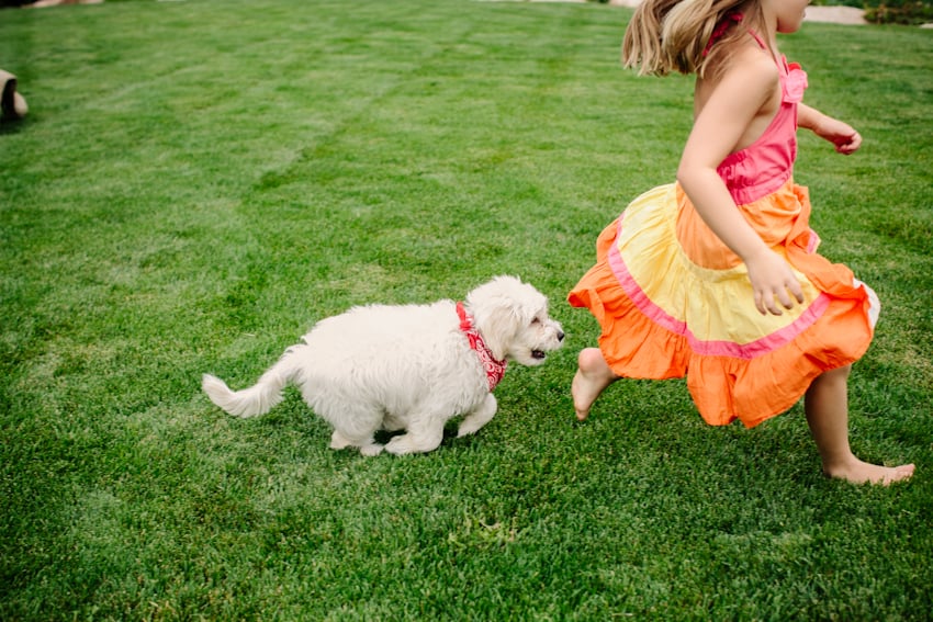 Photograph by Julia Vandenoever of a child being chased by a dog