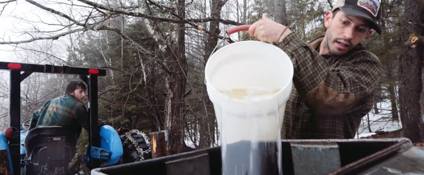 A photograph of Andy Paonessa gathering sap to create maple syrup by hand, photographed by Corey Hendrickson.