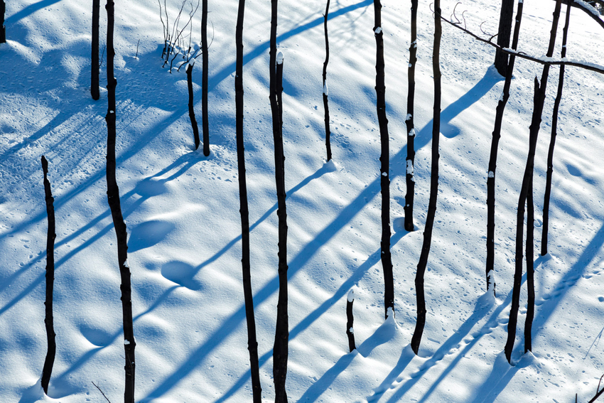 The frosty landscape is depicted in the photo with slender sticks arranged in a particular way.
