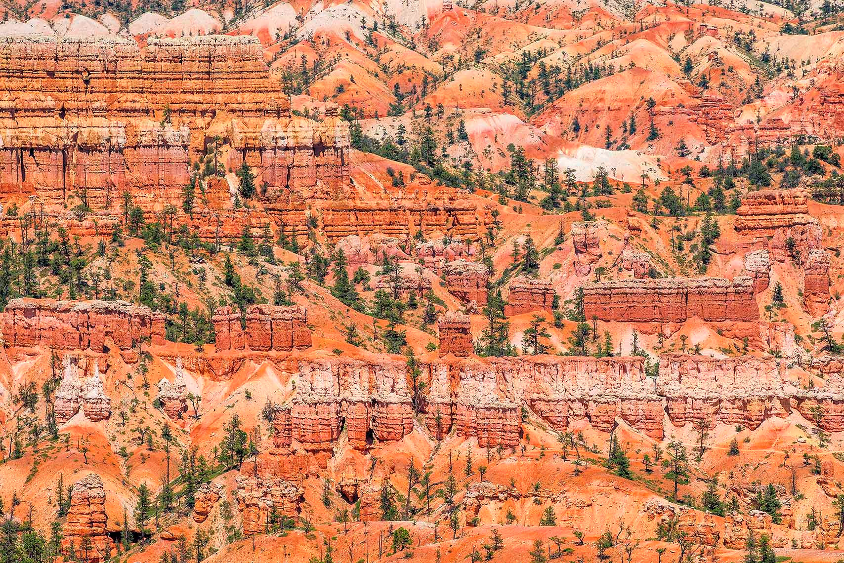 Zoe Wetherall photographs a birds eye view of Bryce Canyon from a hot air balloon for her series "Earth."
