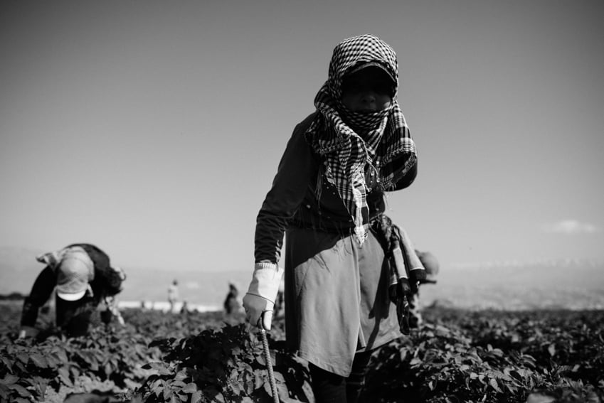 A Syrian girl working in the Bekaa Valley potato fields photographed by Erol Gurian
