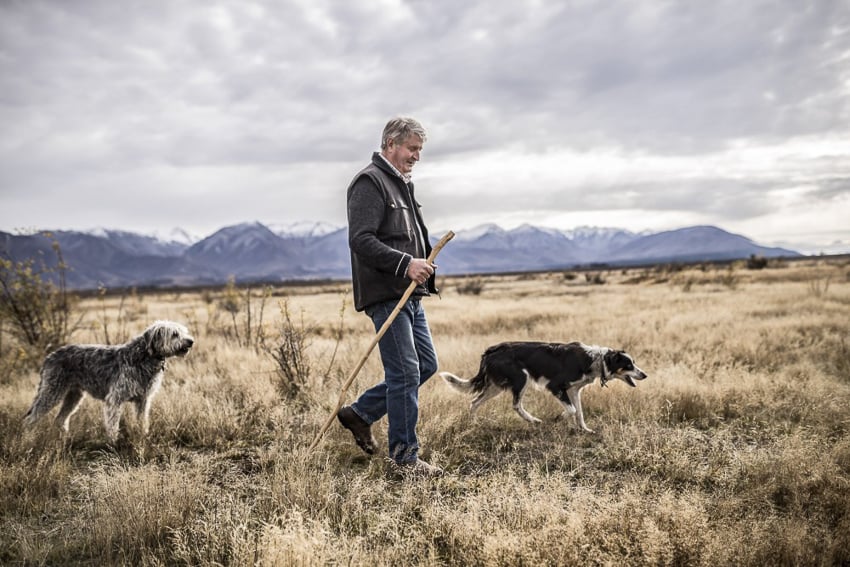 photograph of a sheep farmer with his herding dogs in New Zealand by Tadd Myers