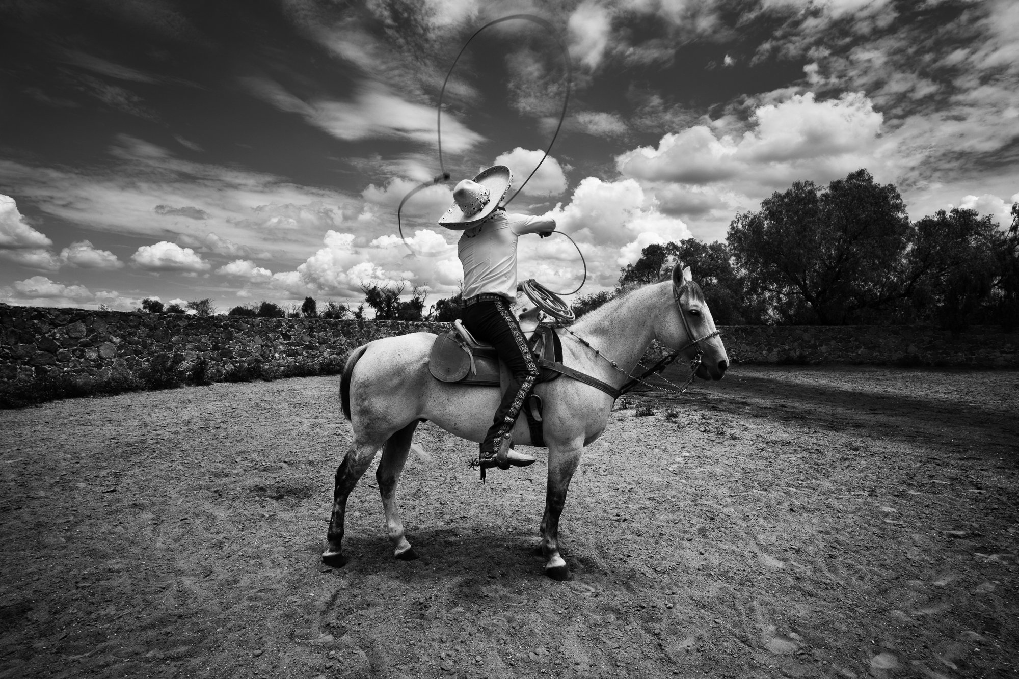 Nicole Franco's action shot of a Charro and his horse. The man faces away from the camera and works a lasso