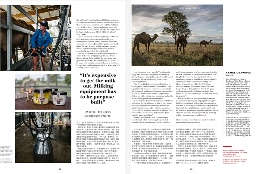 Camel feature for Aspire Magazine by Mark Lehn