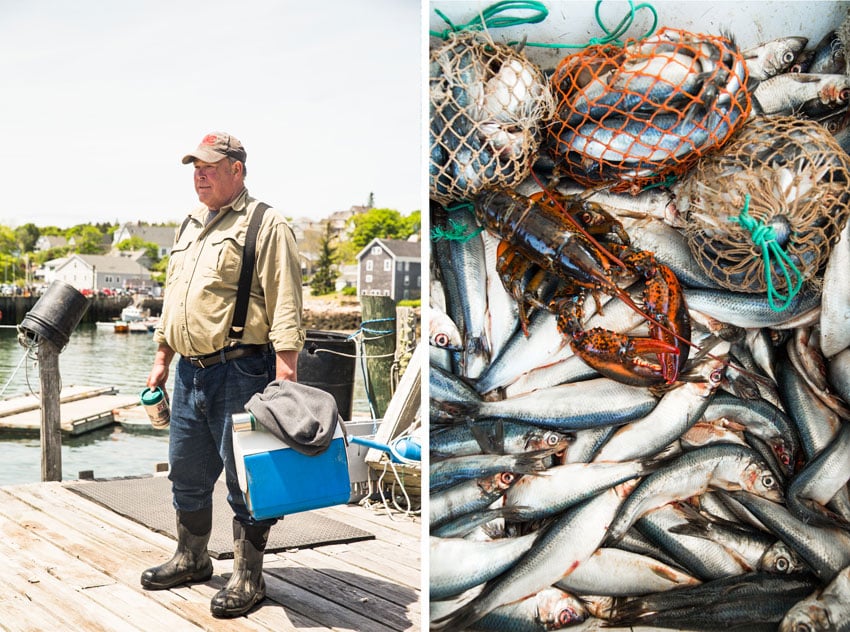 The first photo portrays a fisherman ready for work. In the second photo, the focus shifts to the bountiful harvest of fish caught in the nets, illustrating the fruitful outcome of the fisherman's labor. Photo by Greta Rybus.
