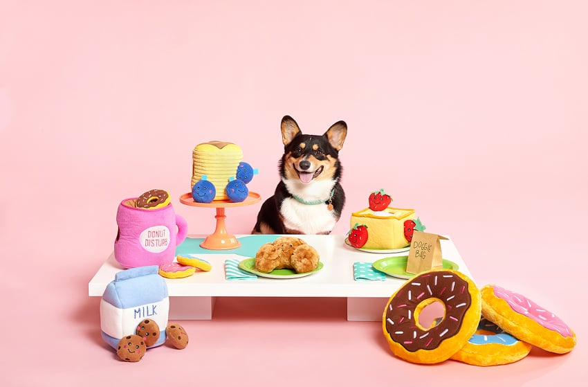A dog surrounded by toys photographed by Lauren Pusateri.