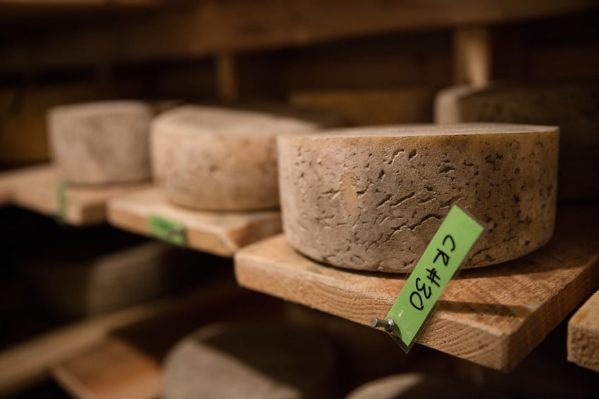 Lisa Godfrey's photo for Adirondack Life Magazine. The photo features several wheels of cheese on wooden shelves. 