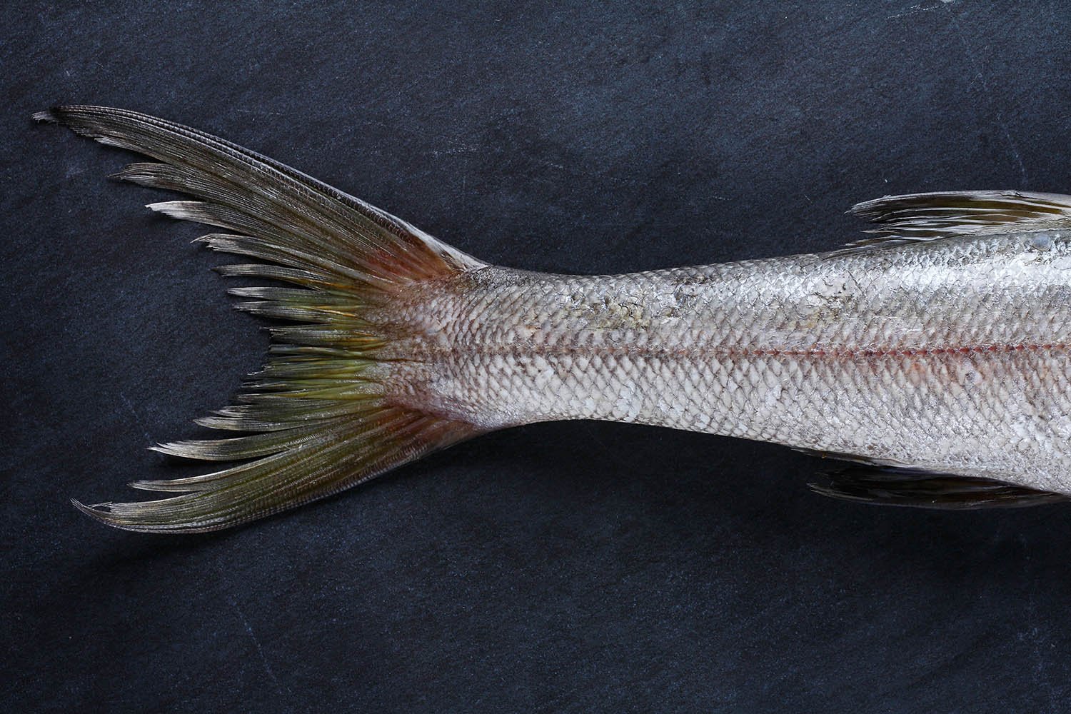 Momo cookbook fish tail; photograph by Dan Perez