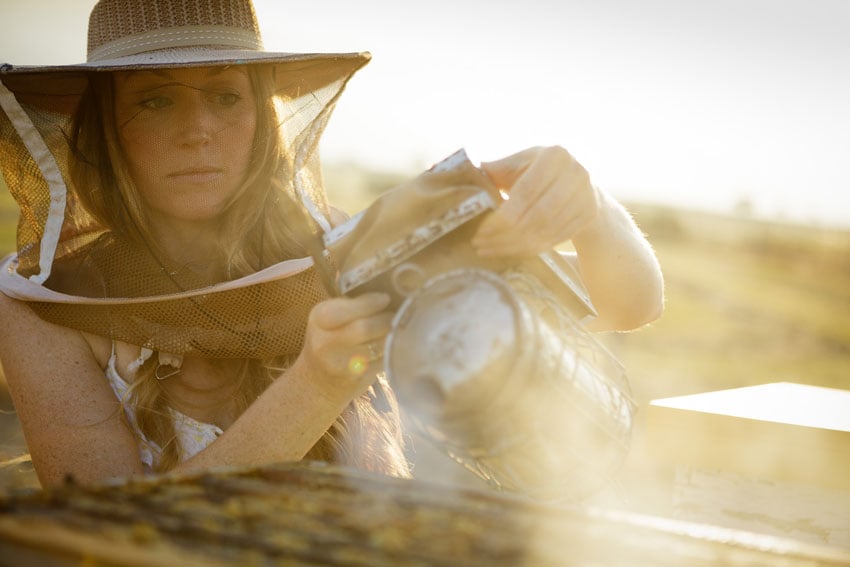 A portrait by photographer Natalie Faye of Sarah Red-Laird, Founder and Executive Director of The Bee Girl Organization. In this portrait, Sarah uses a smoker on a hive. She wears a protective head covering that includes a transparent screen over her face and neck. The portrait features warm and golden natural light.