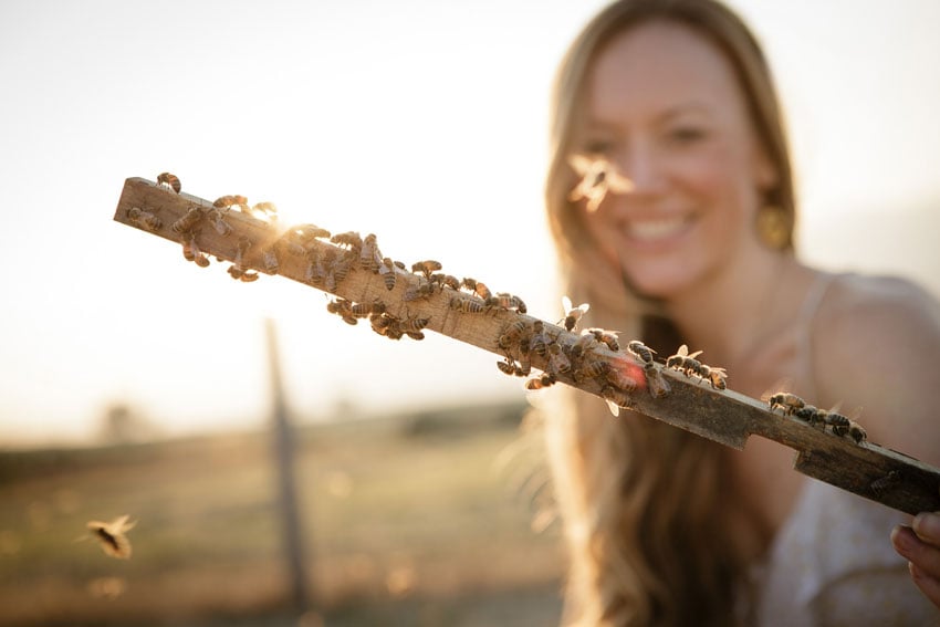 An image captured by photographer Natalie Faye of Sarah Red-Laird holding up a segment from a beehive's wooden frame covered in bees. The bees are in focus in the foreground, and Sarah, smiling, is out of focus in the background. The shot is lit by warm golden sunlight.