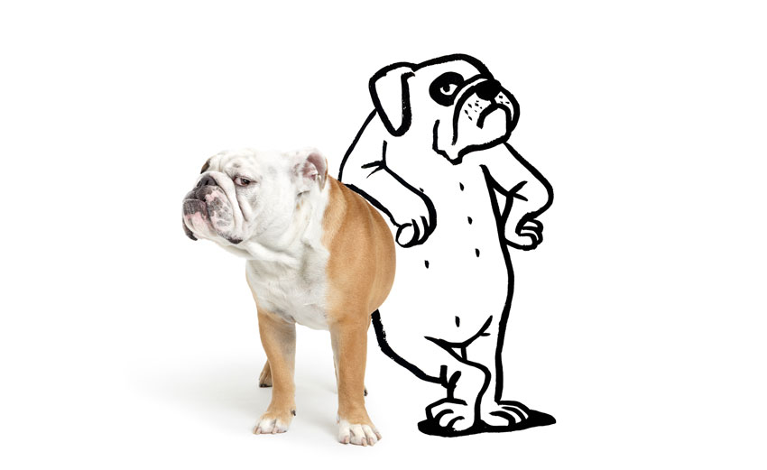An illustrated bulldog leans on a real bulldog with an elbow, exuding a human-like demeanour, as both seem to cast a judgmental gaze.