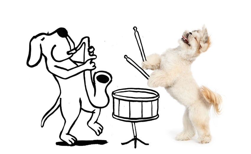 An illustrated dog skillfully plays a saxophone, accompanied by a real dog adding rhythm with illustrated drums beside them, Shaina Fishman.