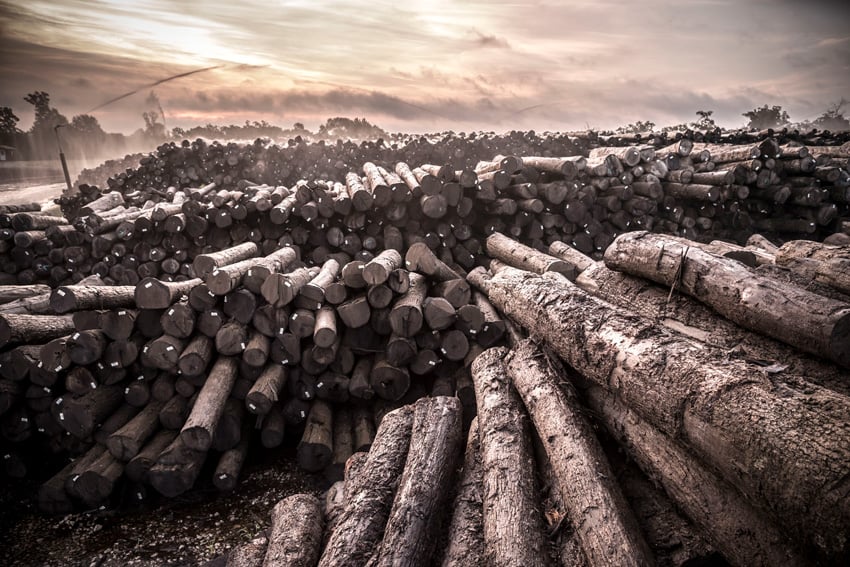 A sepia-toned image taken by photographer Tadd Myers featuring several rows of stacked wooden logs outdoors. 