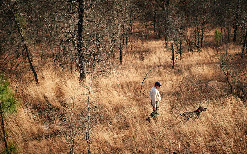 A man walking through a field with a dog photographed by Greg DuPree