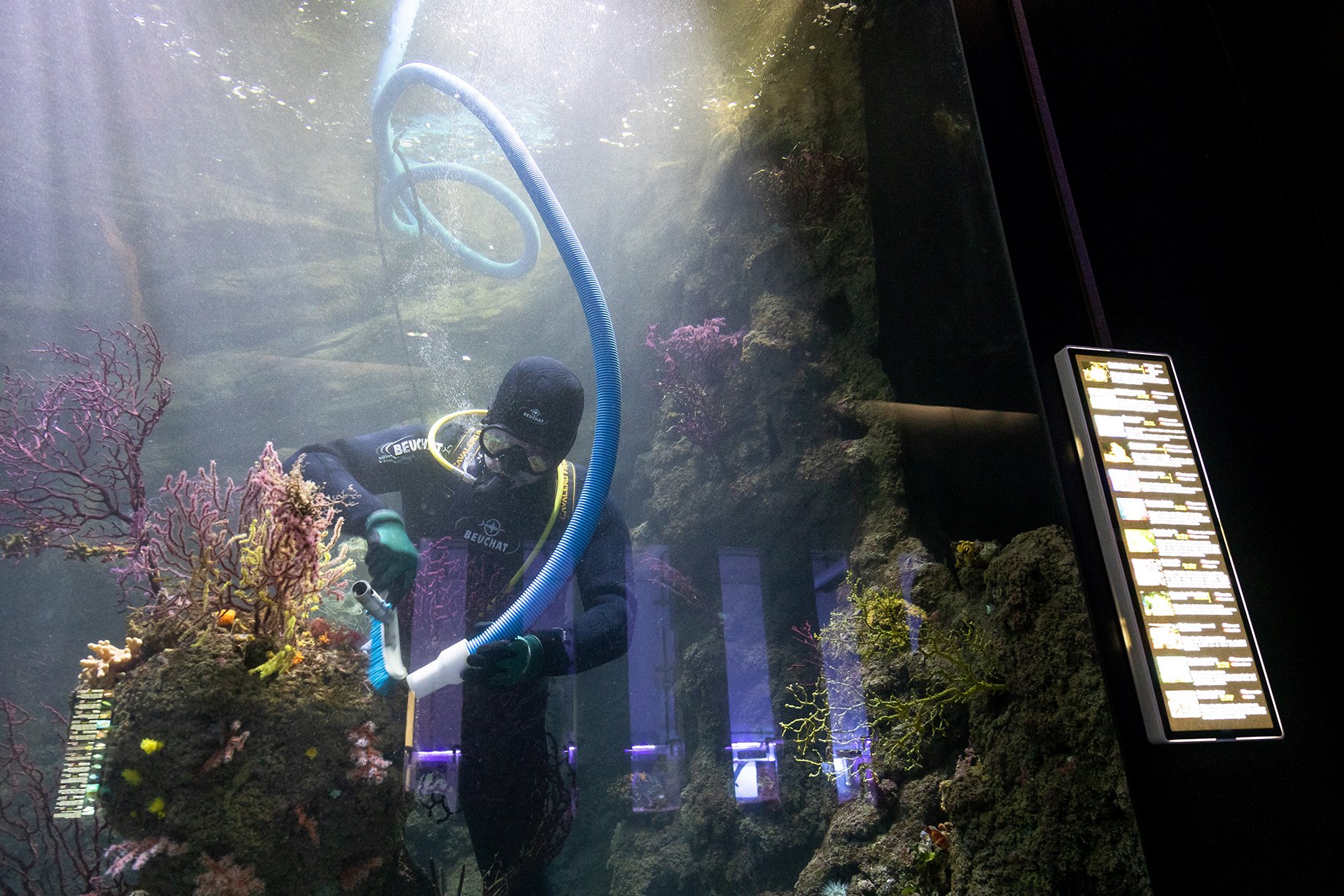 Scuba diver collects samples in aquarium tank at Plastic at Sea laboratory shot by Markus Altmann for Terra Mater magazin