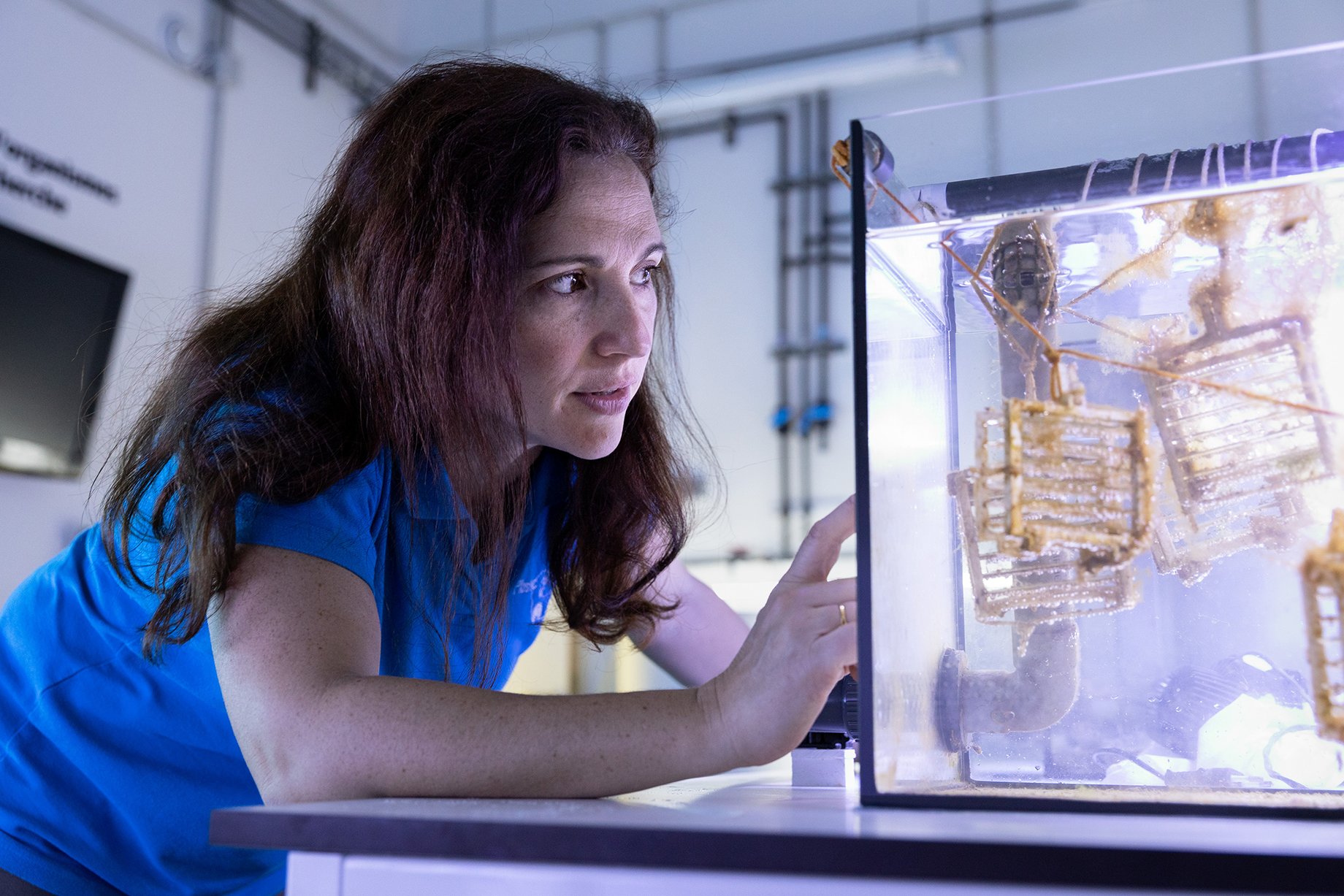 Researcher Amelia-Leila Meistertzheim views tests inside a UV light aquarium shot by Markus Altmann for Terra Mater magazin