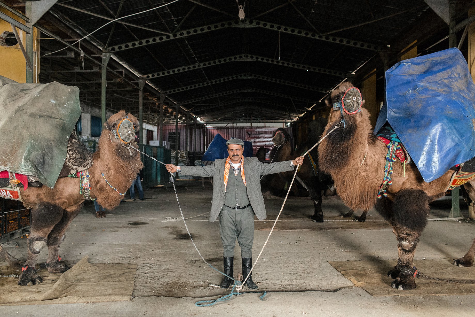 Camel trainer holds two camels in wear house where he keeps them safe prior to the event. Shot by Bradley Secker featured in the New York Times.